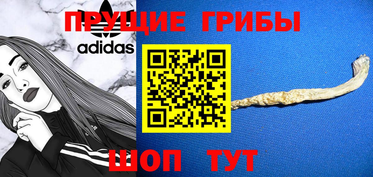 Галлюциногенные грибы Psilocybine cubensis  Псилоцибиновые грибы прущие грибы  Стрежевой  Вход с VPN 